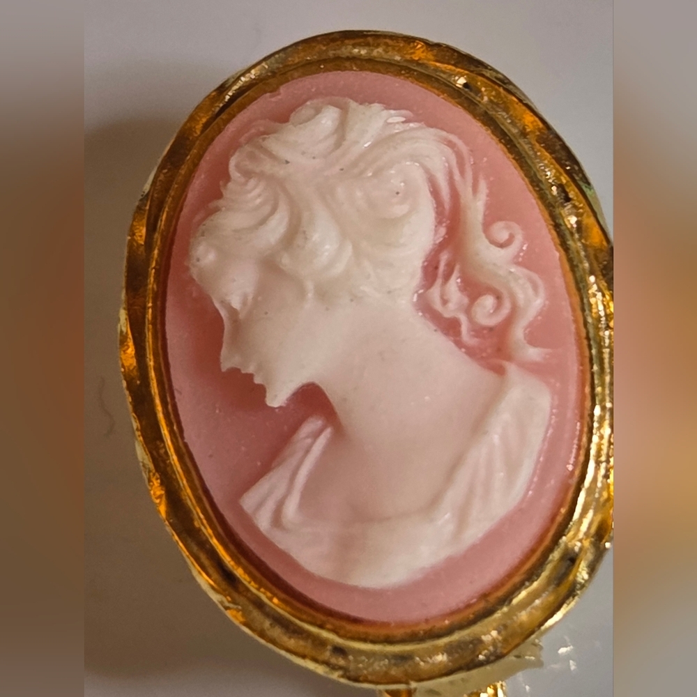 Cameo Brooch, Left-Facing with Gold Frame